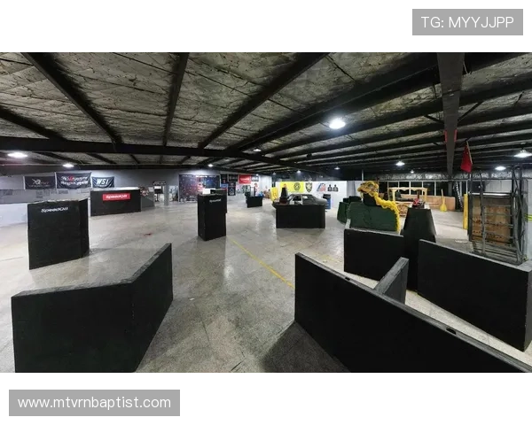 多元化真人竞技场玩法丰富，满足不同玩家的个性化战斗需求